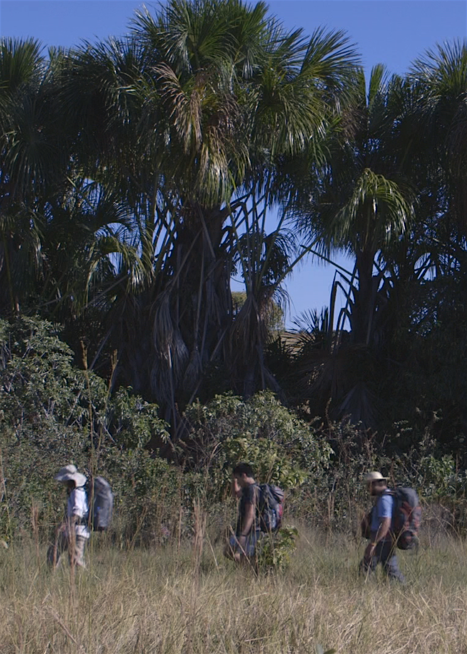 captura-de-pantalla-2016-09-09-a-las-5-56-49-p-m